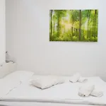 Apartament Castle Lublana