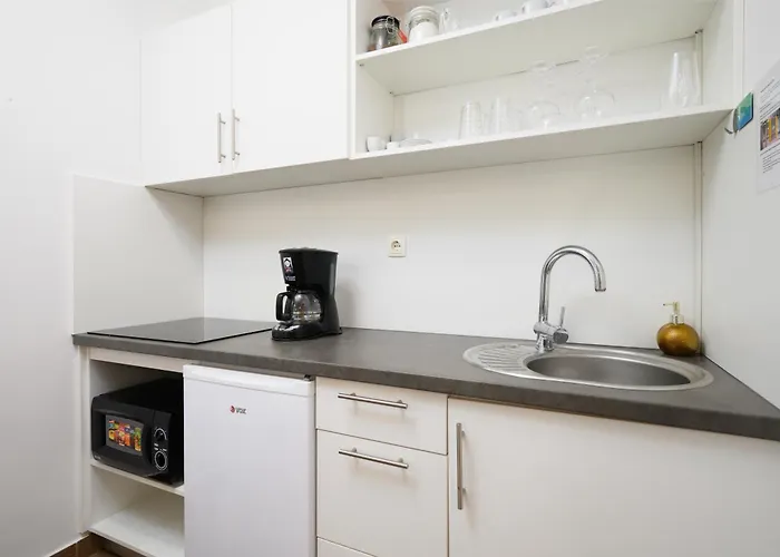 Castle 公寓 卢布尔雅那